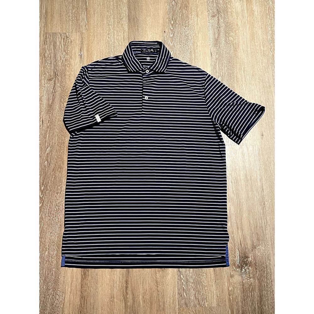 RLX Ralph Lauren Mens M Golf Blue Stripe Polo‎ Wicking Casual EUC